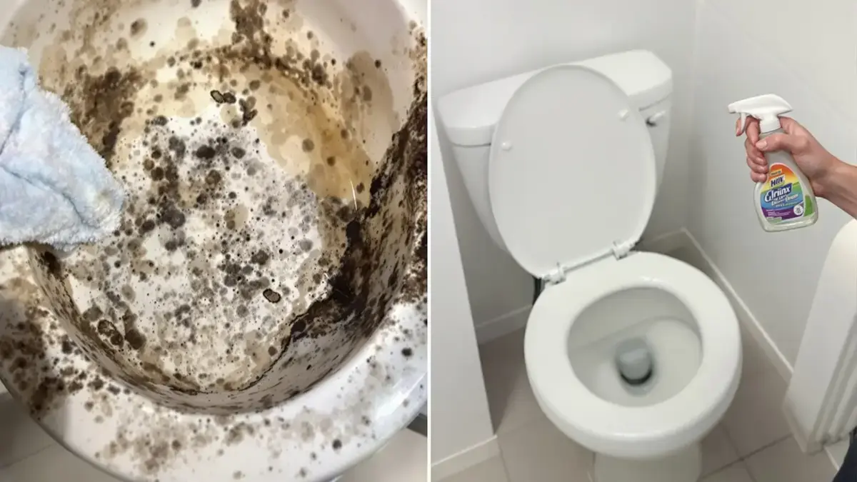 Vuiler dan het toilet: dit voorwerp dat u elke dag gebruikt, is een ware broedplaats voor bacteriën